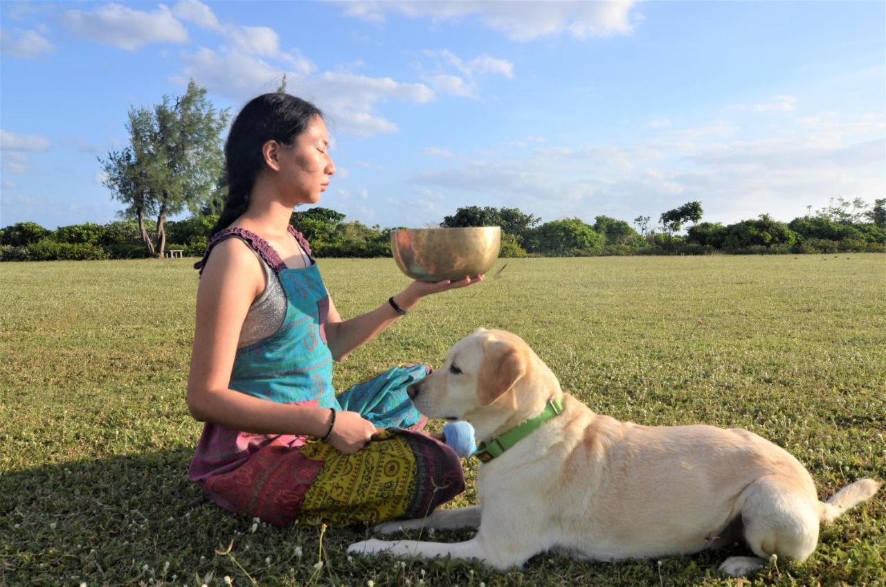 Kenting Comic B&B&Spring Bandar Lama Bandar Lama Hengchun Luaran gambar